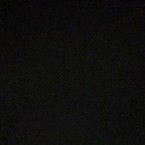 Meet your Posher, Shane